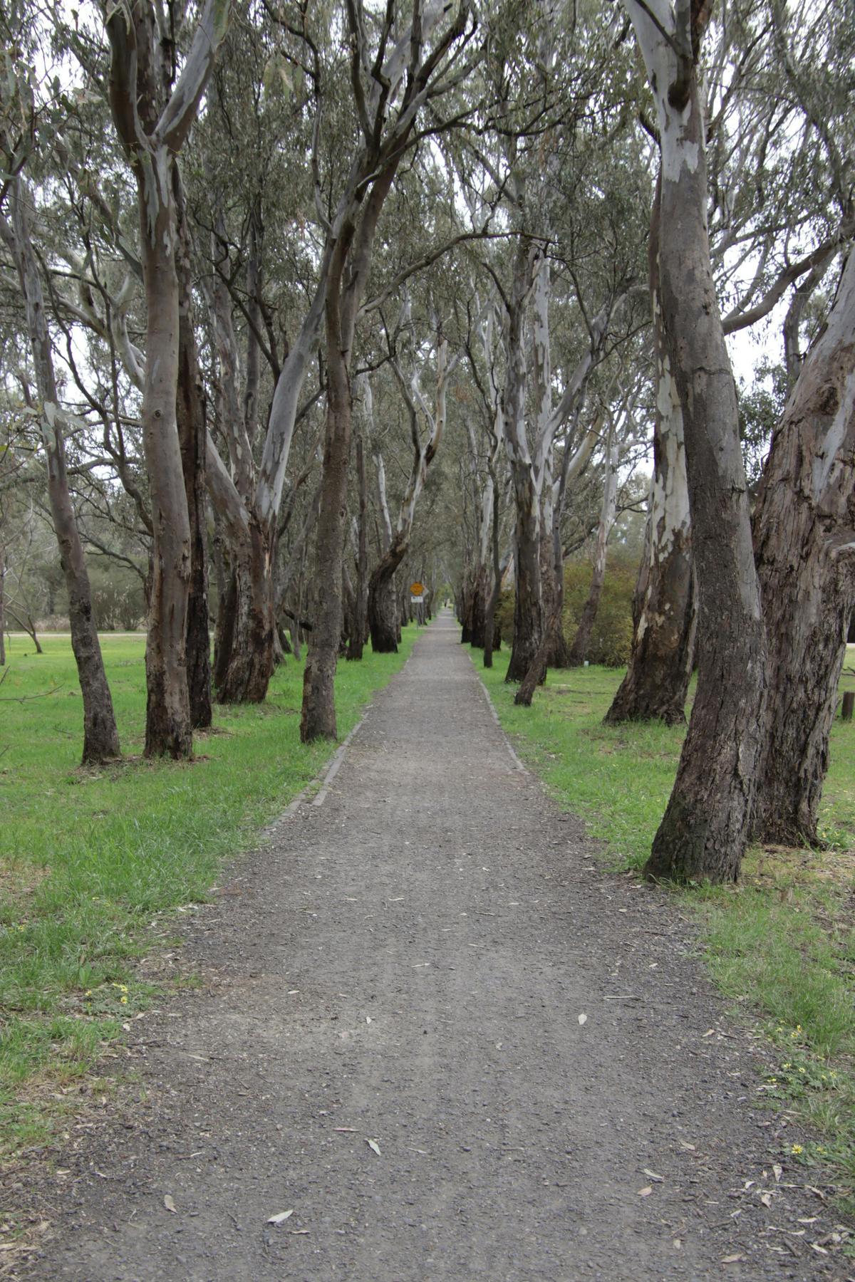 Mansfield Mullum Wetlands Walk