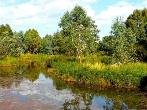 Mansfield Mullum Wetlands Walk