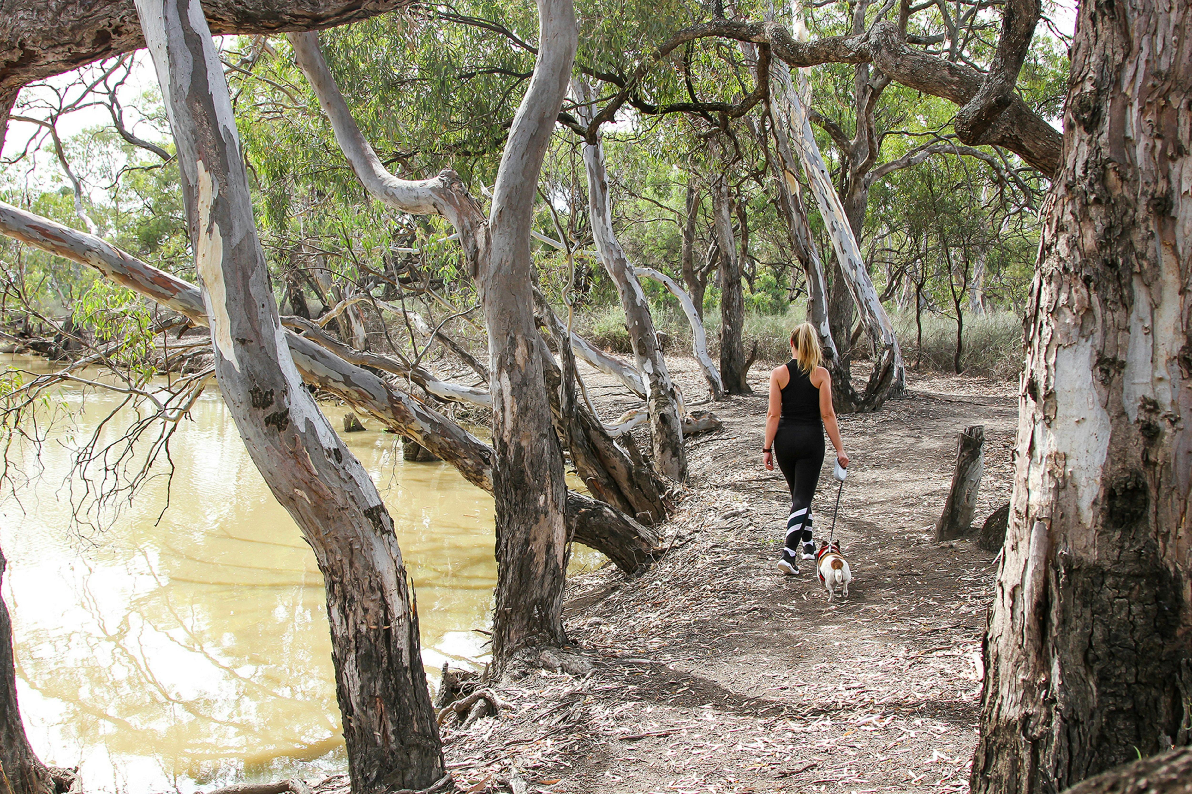 Loddon River Walk/Kerang Regional Park
