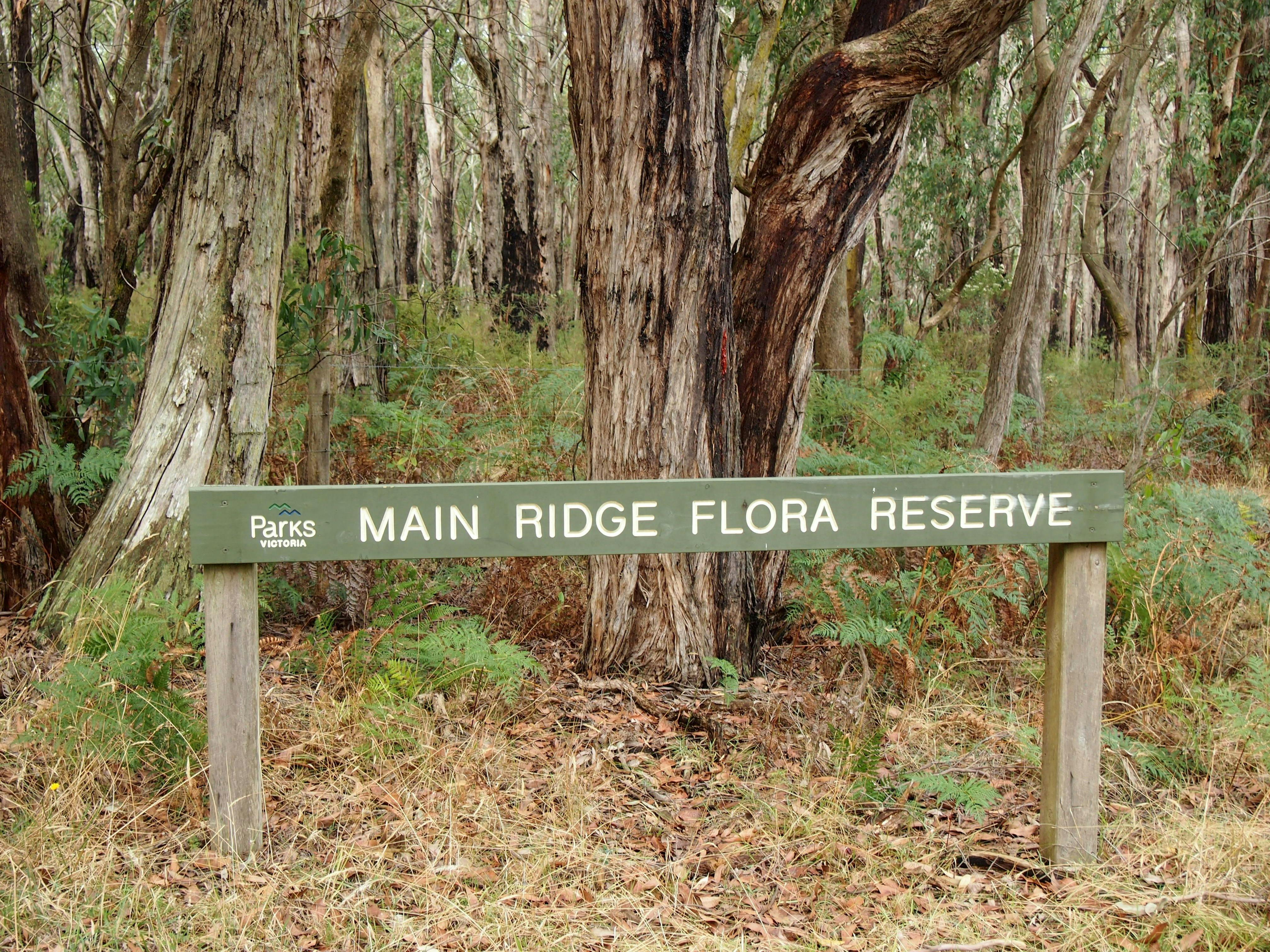 Main Ridge Flora Reserve