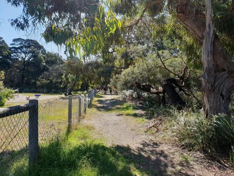 McLaren Dam to Duells Road Walk (Two Bays Walking Track)