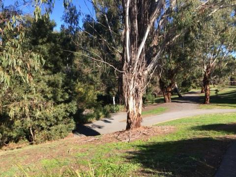 Mansfield Botanic Park