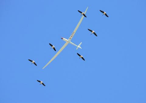 Melbourne Gliding Club