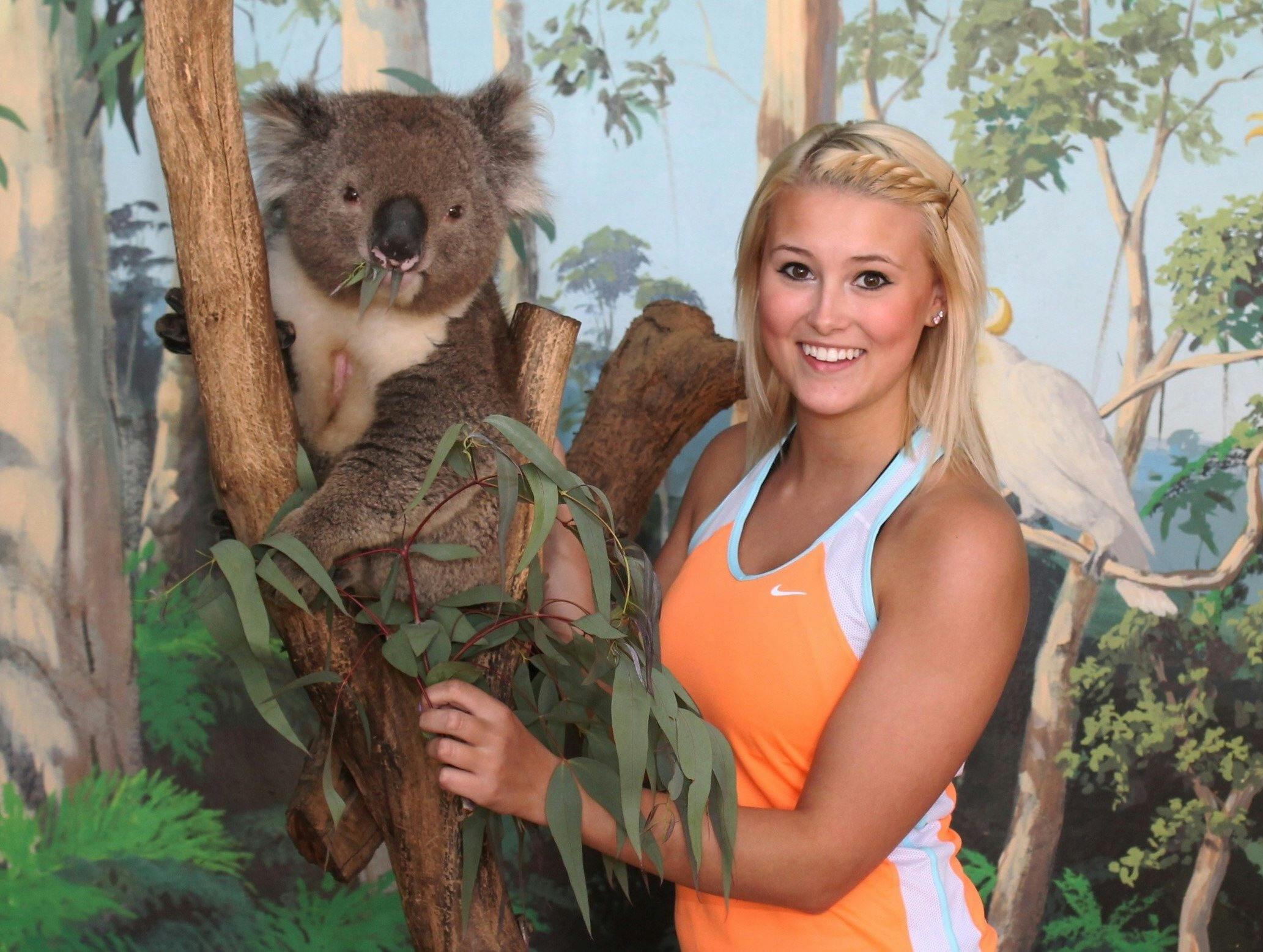 Meet the koalas