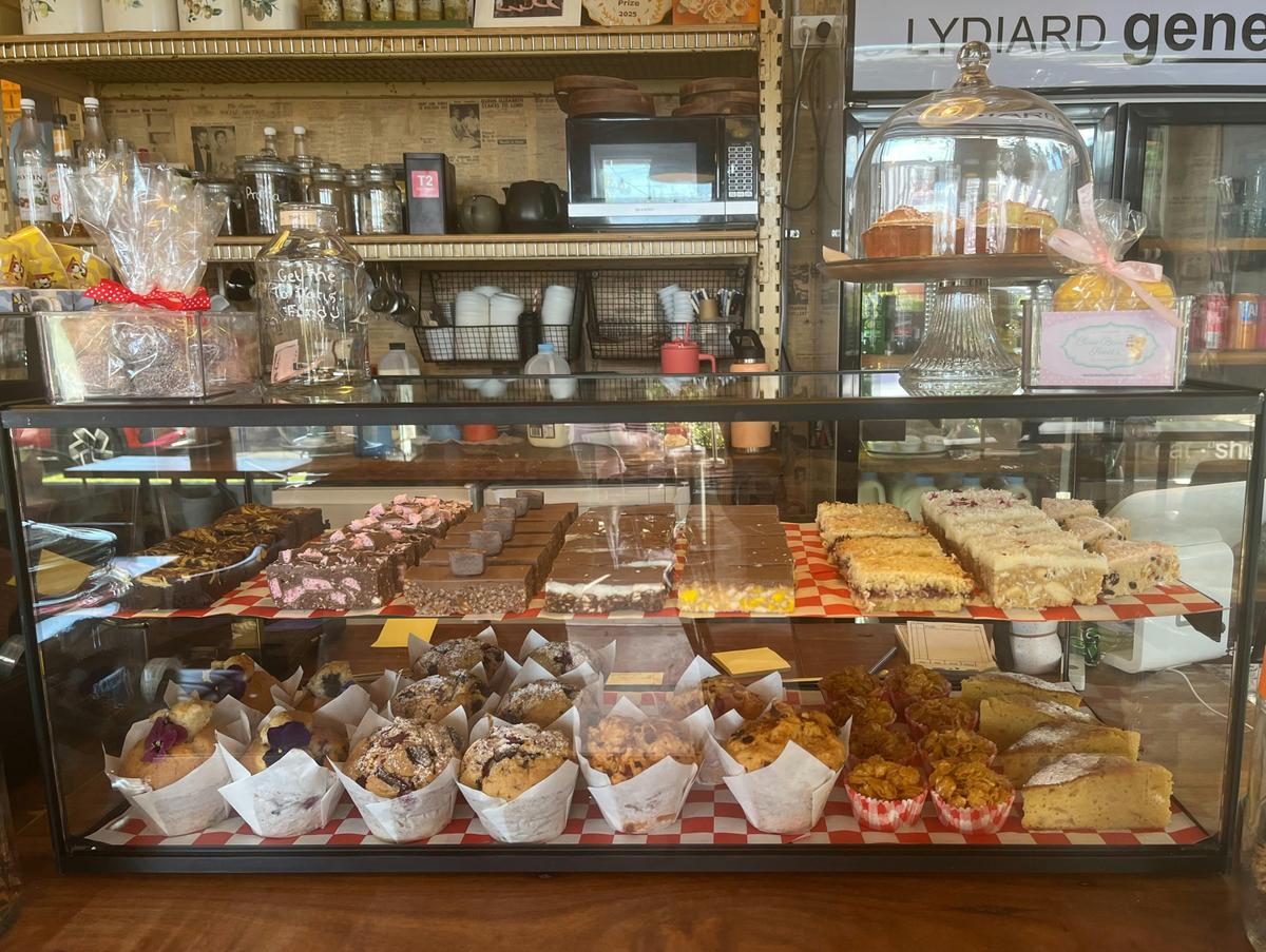 Main Treat Display