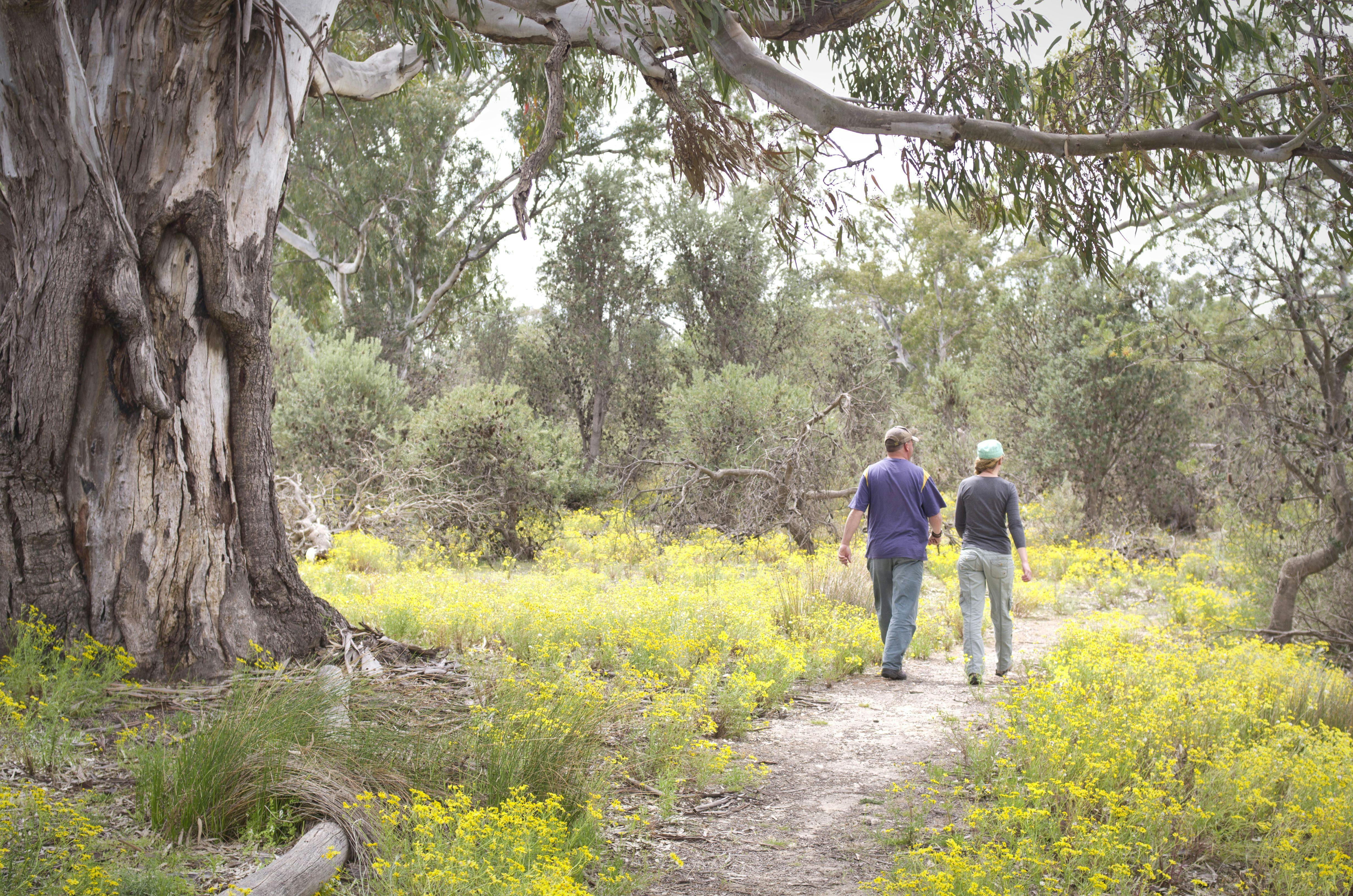 Little Desert National Park