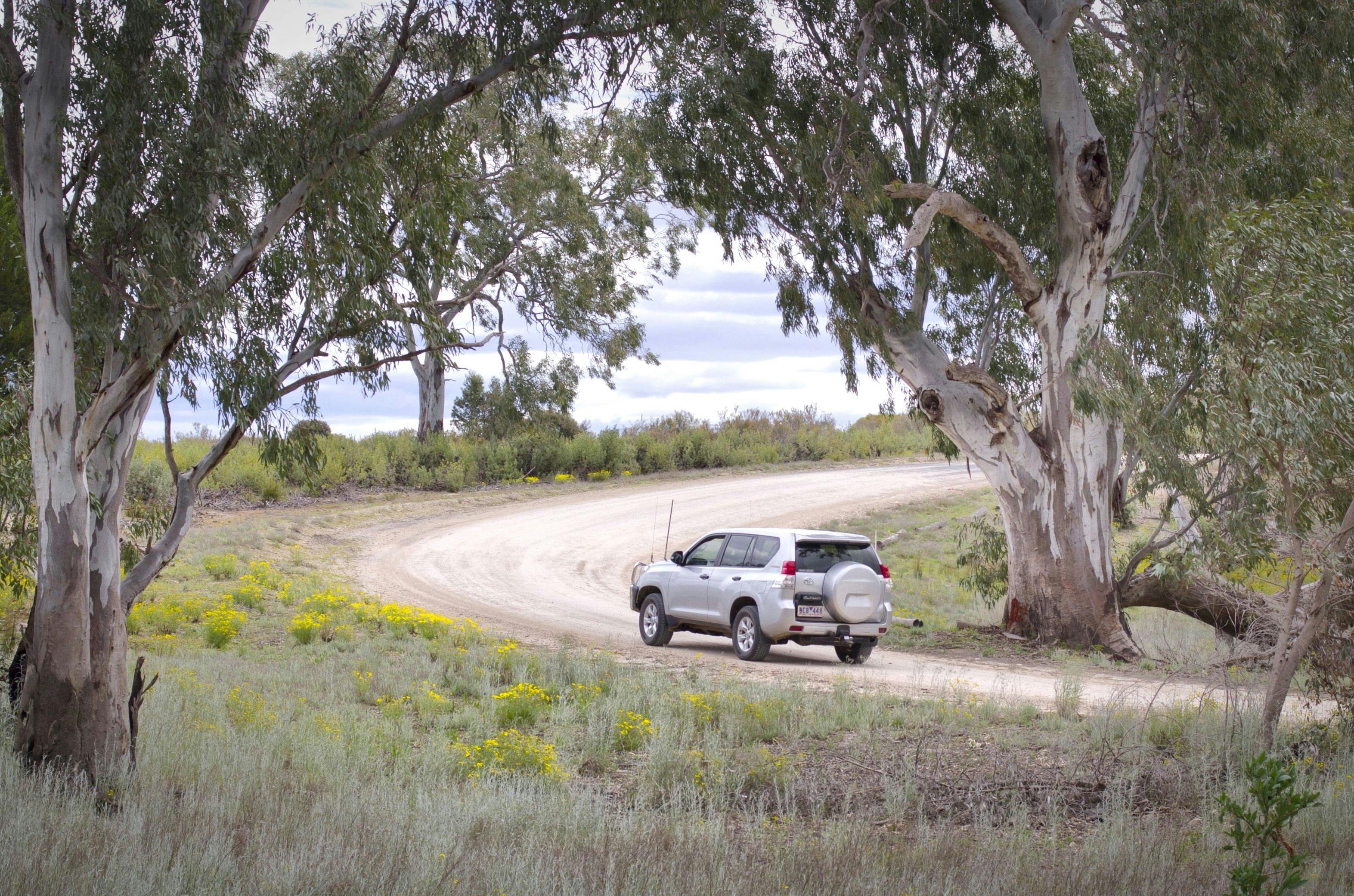 Little Desert National Park