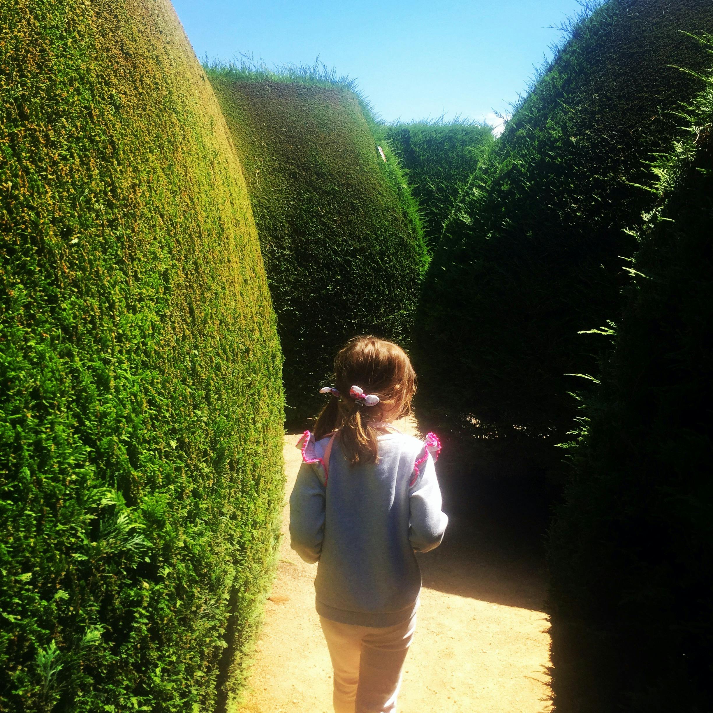 Maze House