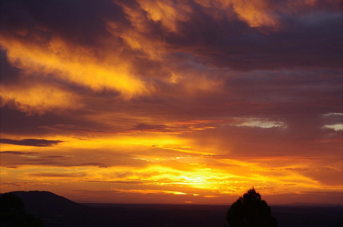Sunset, Lyrebird Cottages