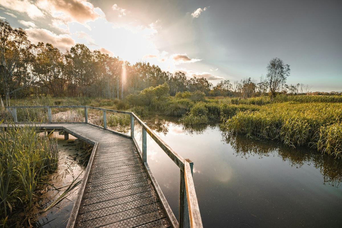 Macalister Wetlands Walk