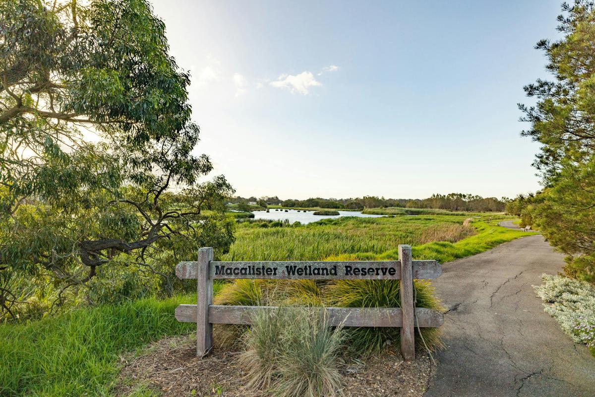 Macalister Wetlands Walk