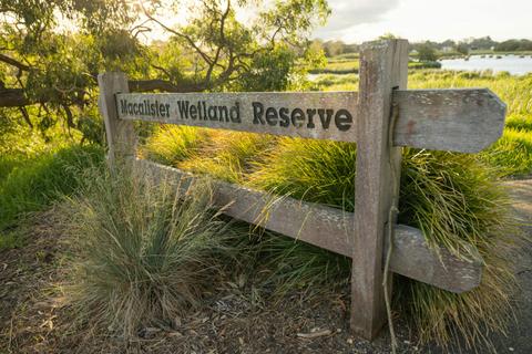 Macalister Wetlands Walk