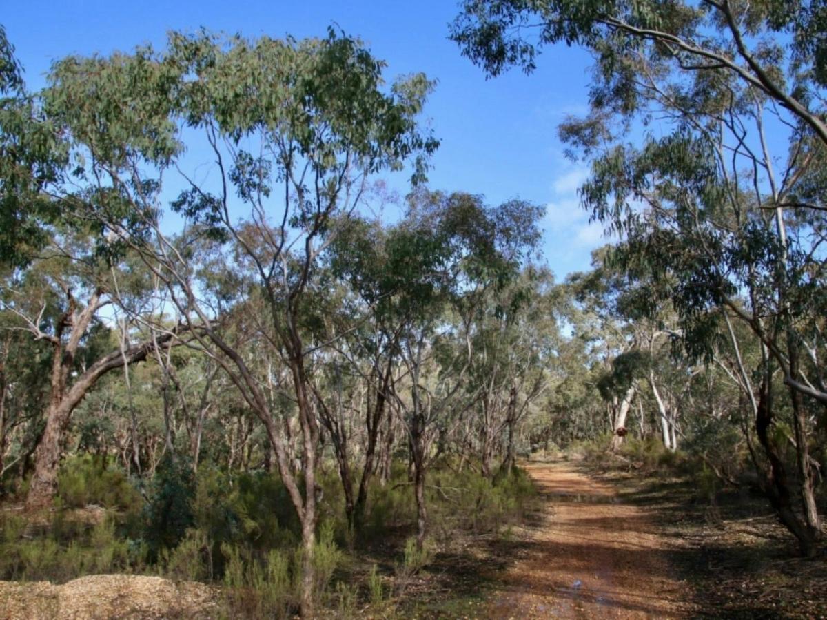 Mangalore Flora Walking Trail