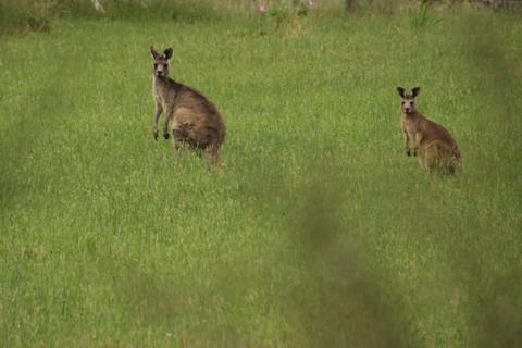Long Point Circuit Walk