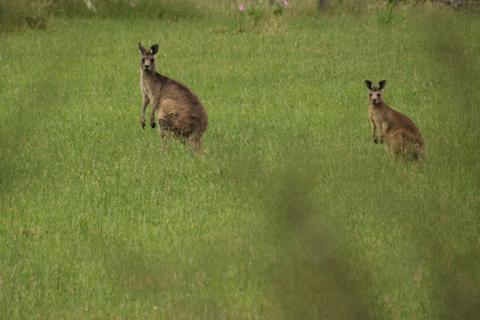 Long Point Circuit Walk