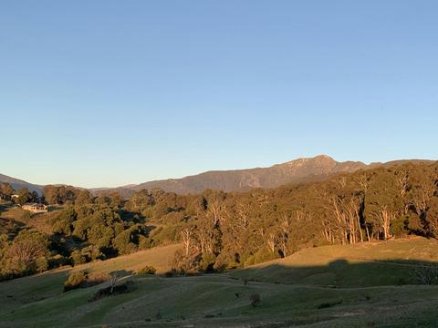 Mannagum Alpine Lodge