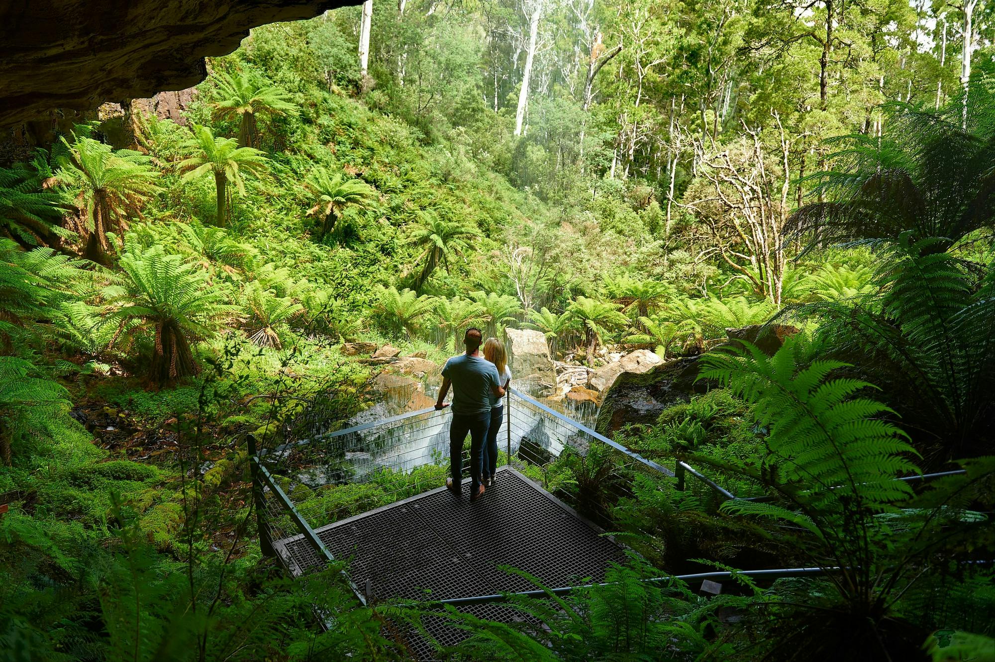 Bindaree Falls, Mansfield