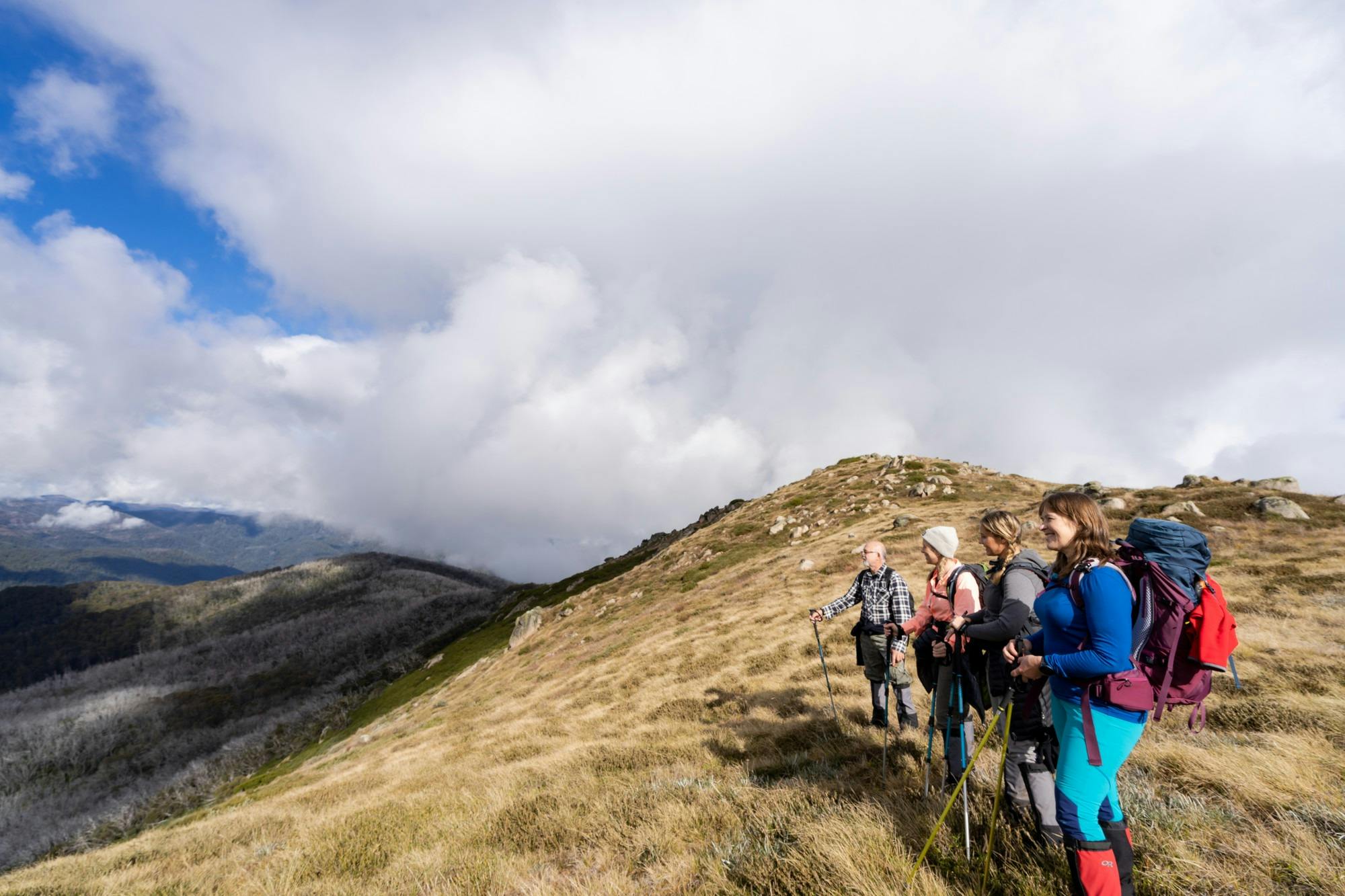 Hiking Mt Stirling to Craig's Hut with High Country Hiking Tours, Mansfield