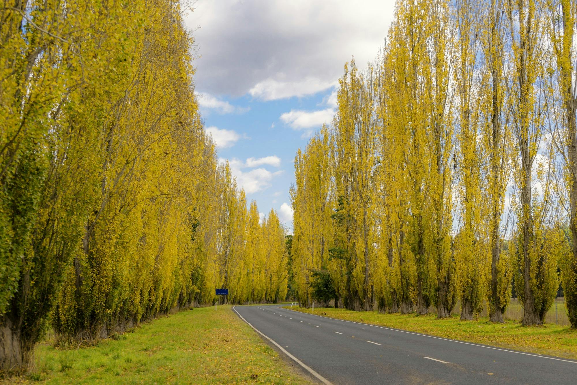 Marysville in autumn