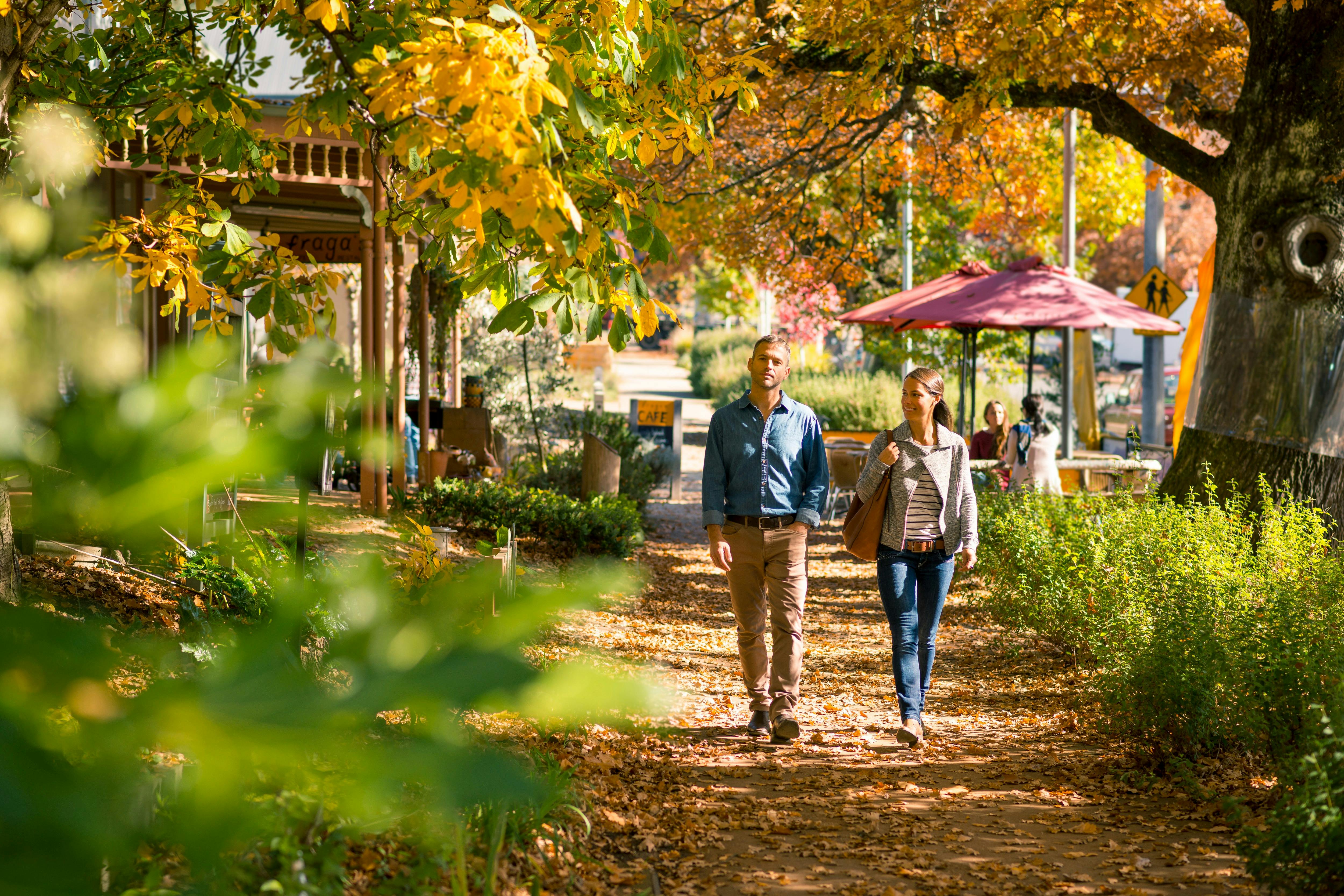 Marysville, autumn walking