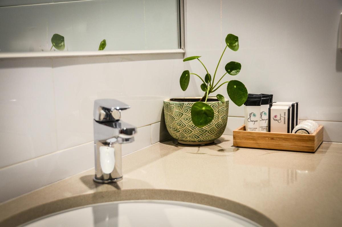 Mansfield Apartments offer modern ensuite bathrooms with complimentary toiletries