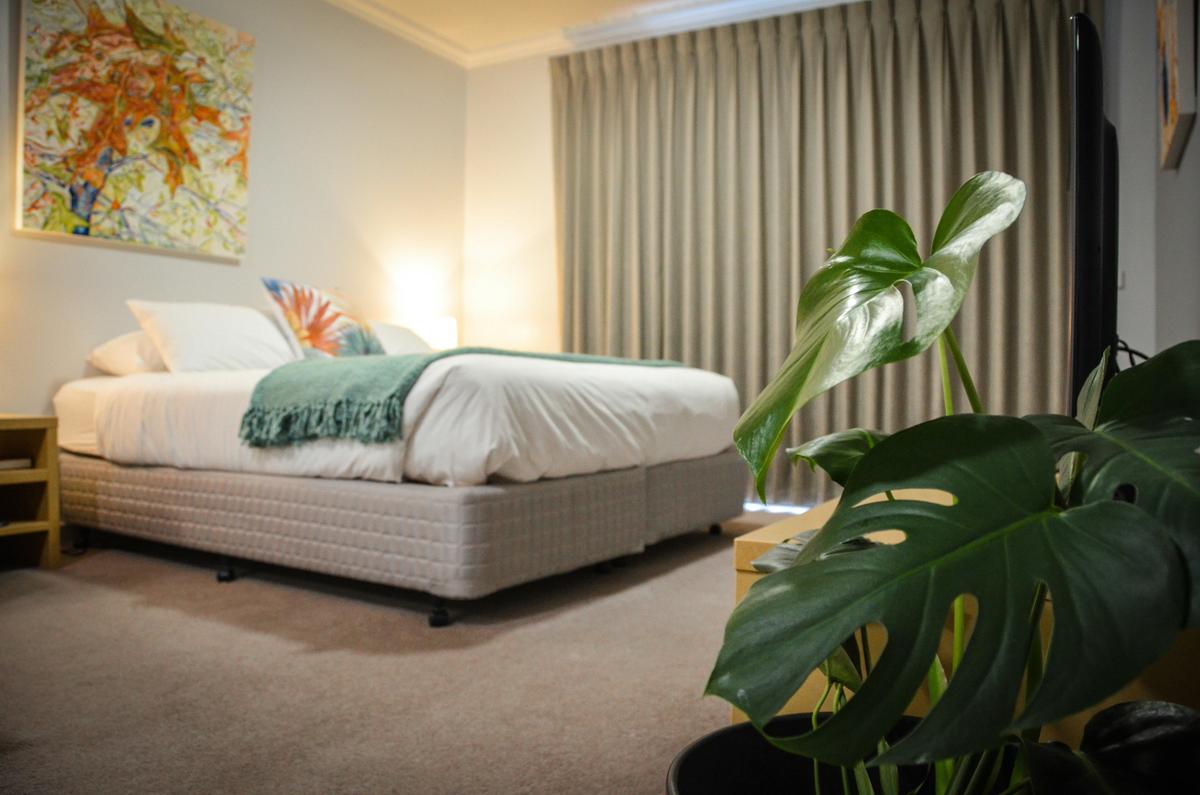 Mansfield Apartments Studio 2