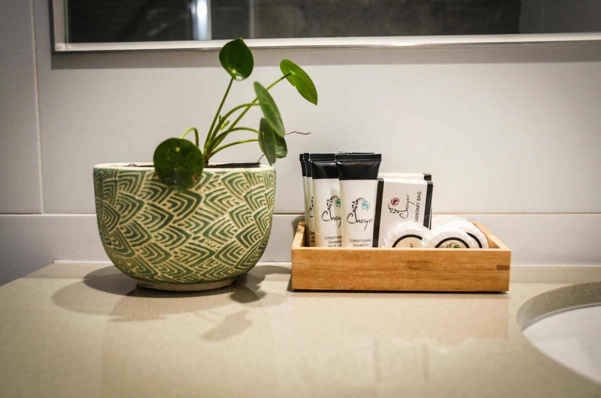 Mansfield Apartments Studio 3