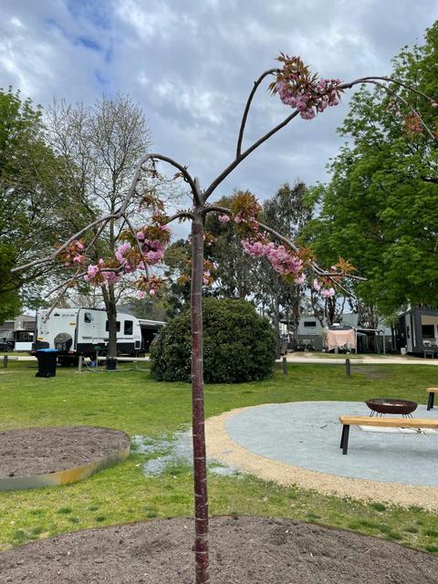 Mansfield Holiday Park