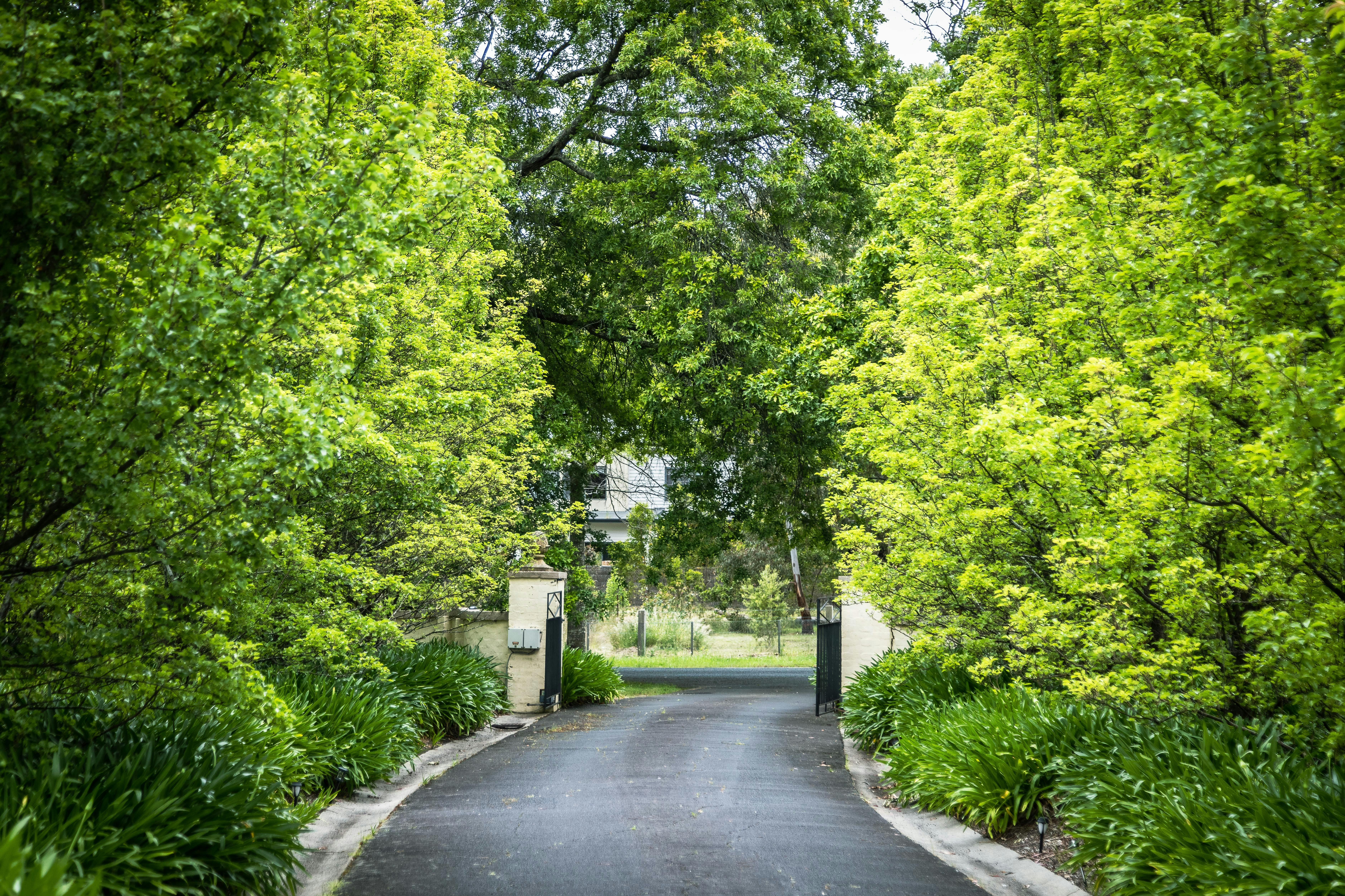 a driveway to delight