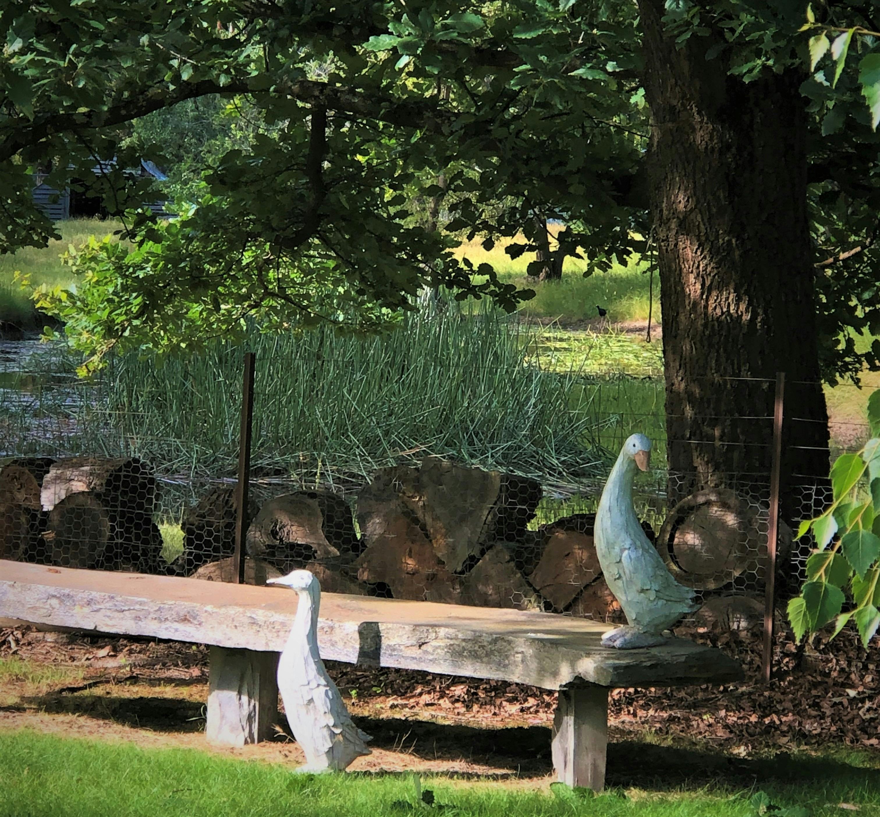 relax under the trees