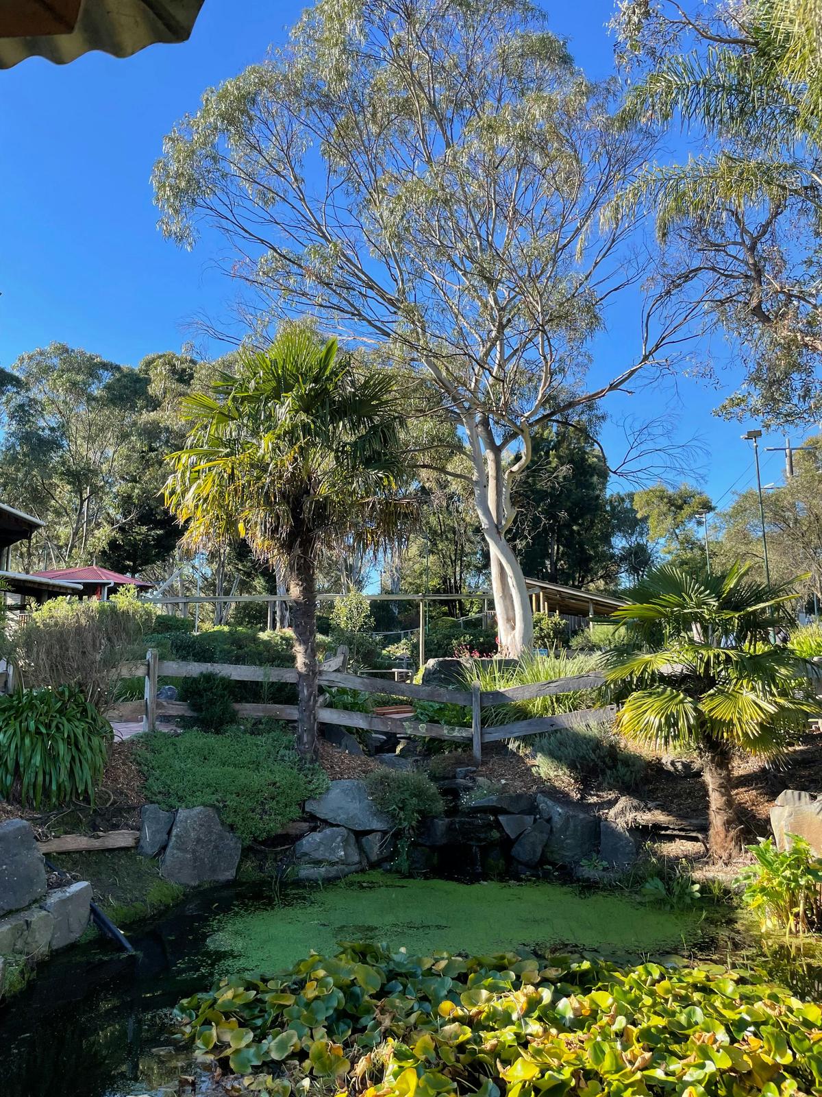 Lakes Course