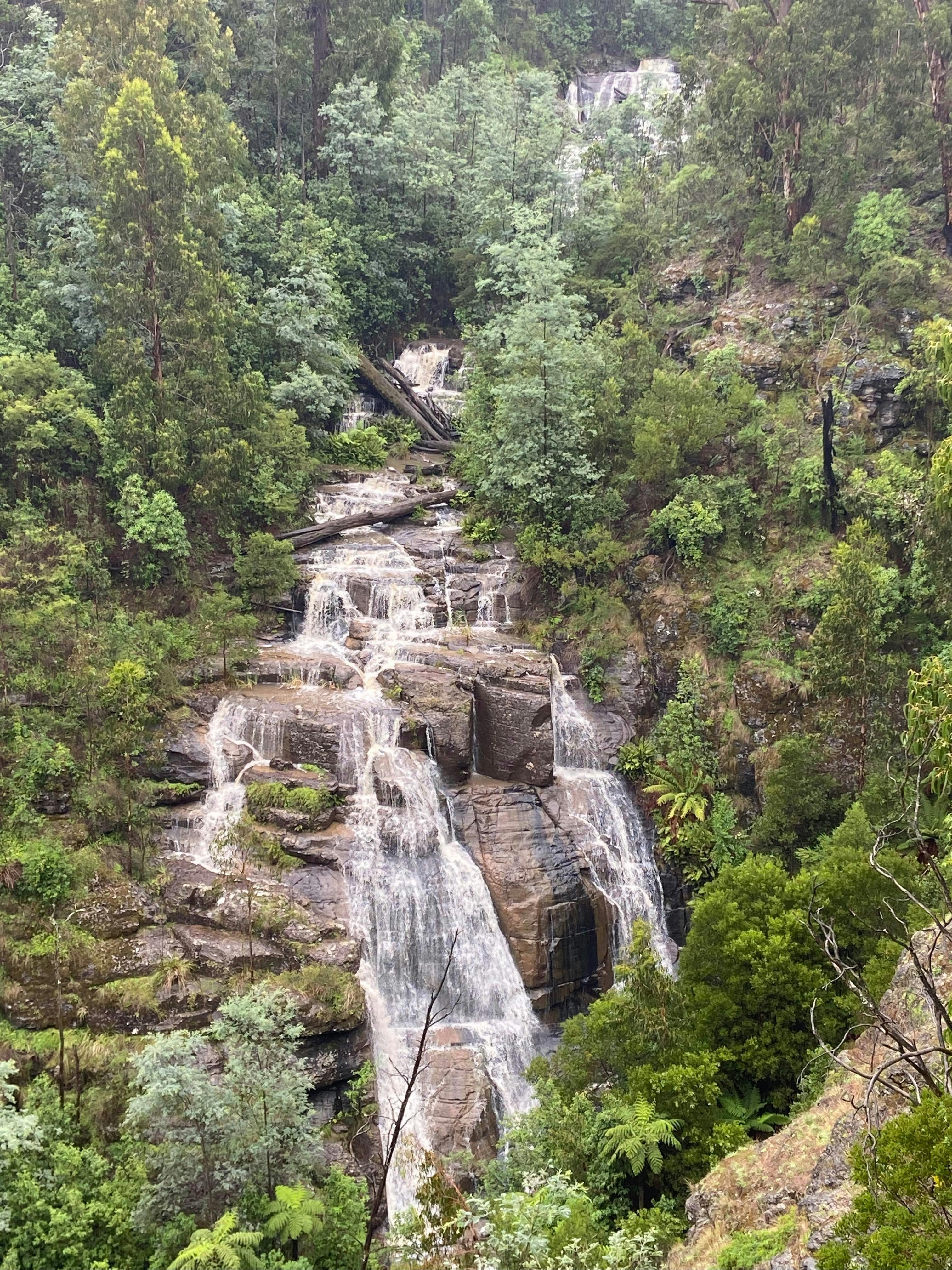 Masons Falls