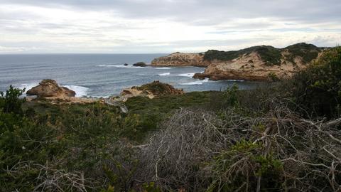 Monforts Beach, Blairgowrie