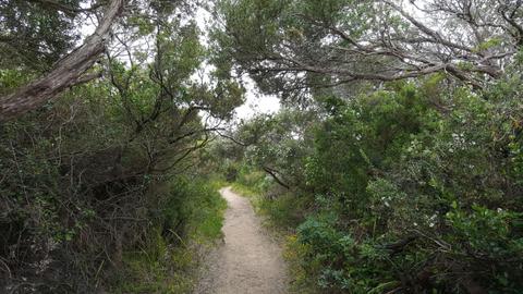 Monforts Beach, Blairgowrie