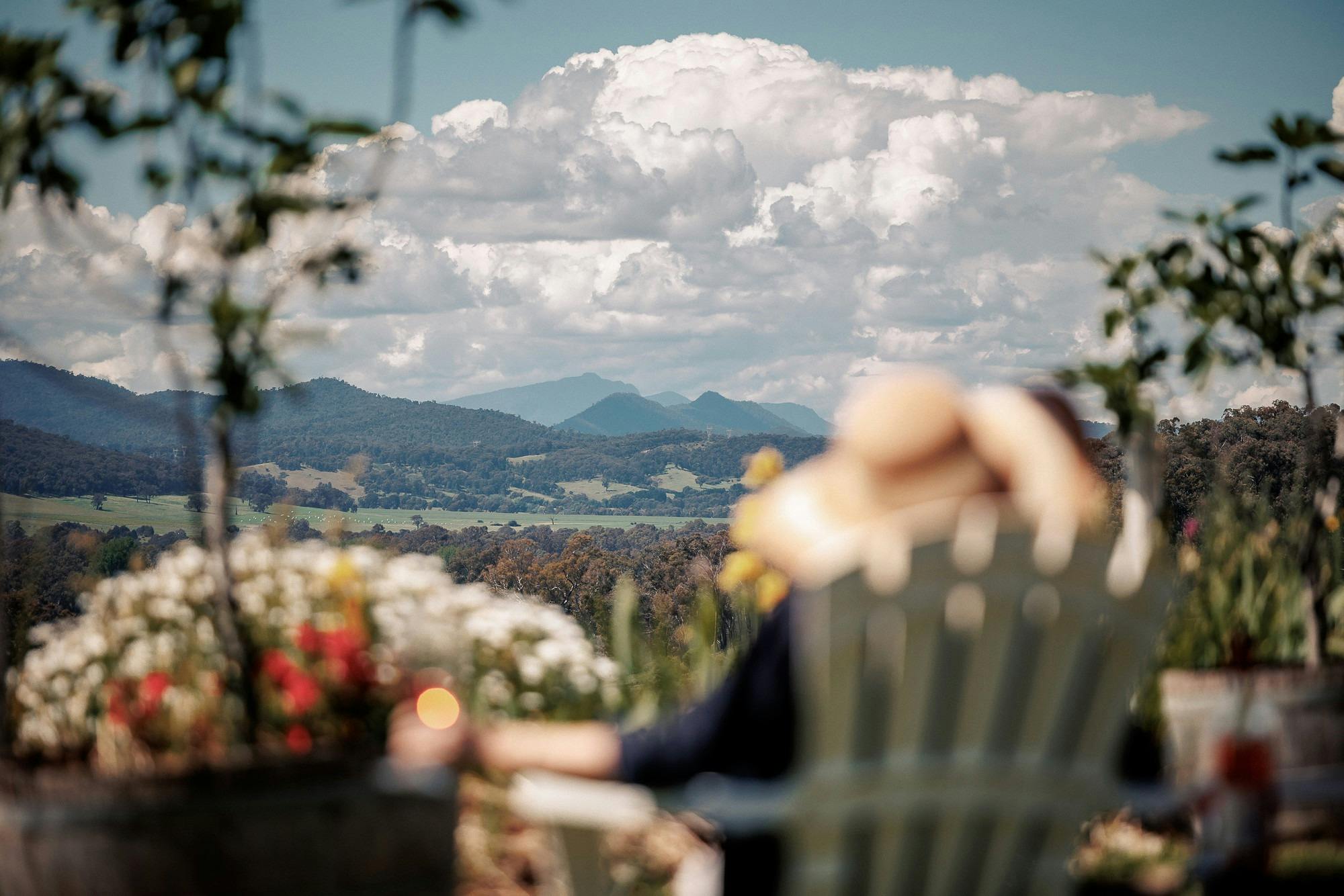 Red Feet Wines, King Valley