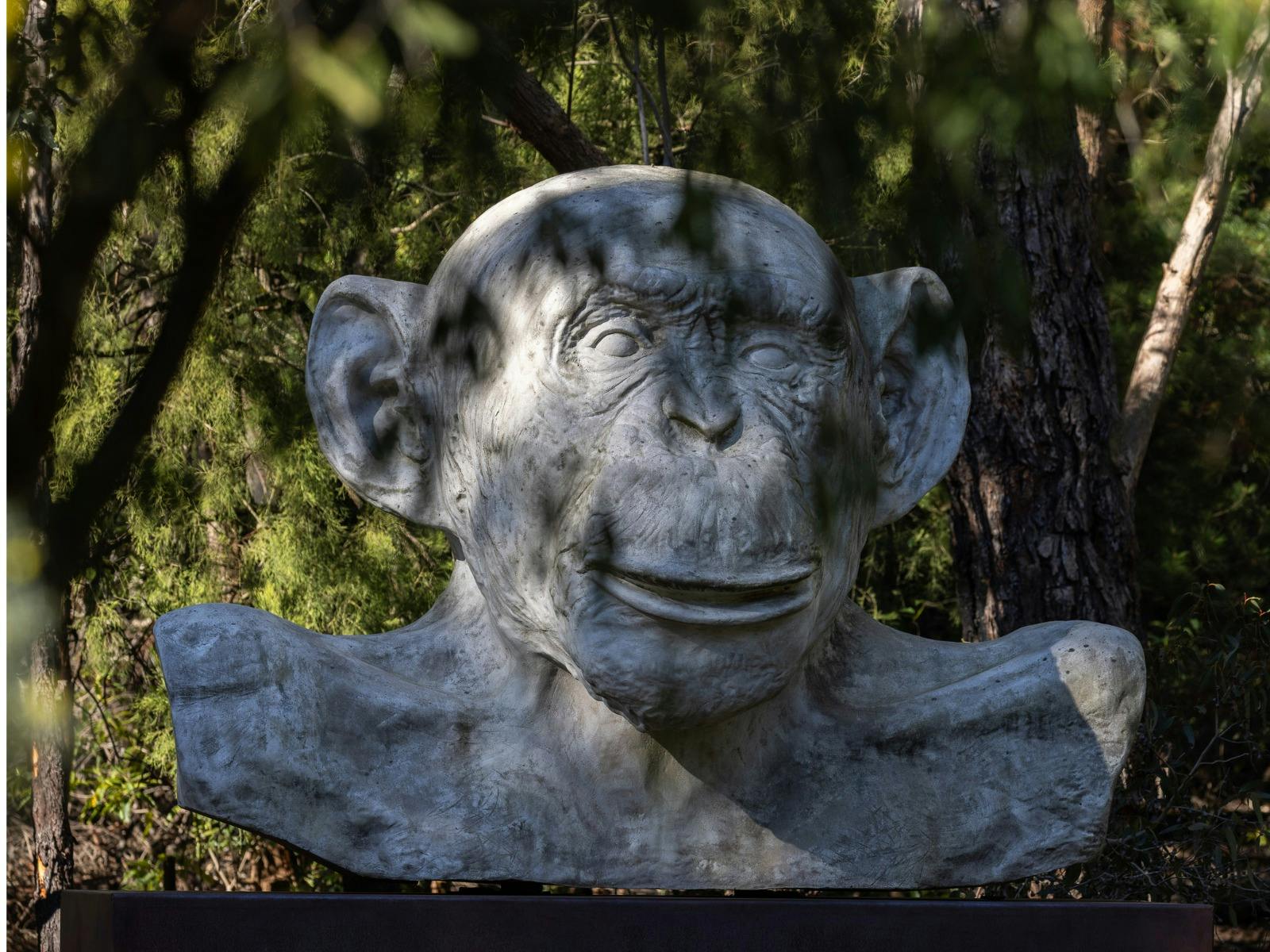 Lisa Roet, White Ape, 2005