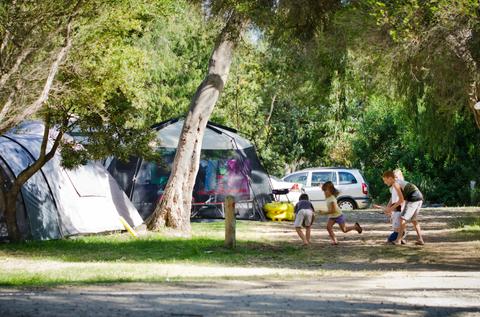 McCrae and Rosebud Foreshore Camping