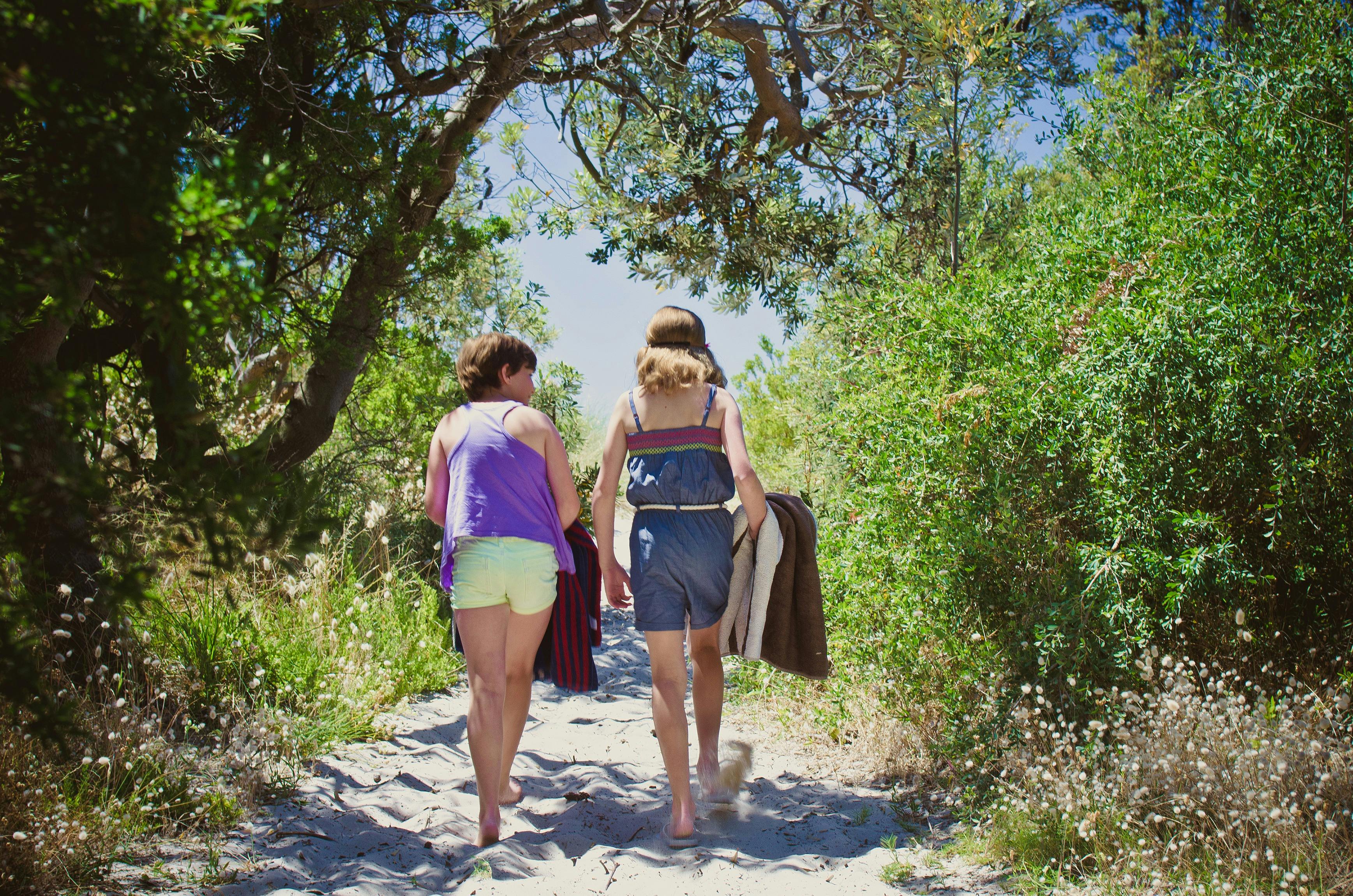 Rosebud Foreshore Camping