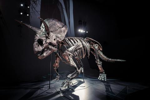 Melbourne Museum