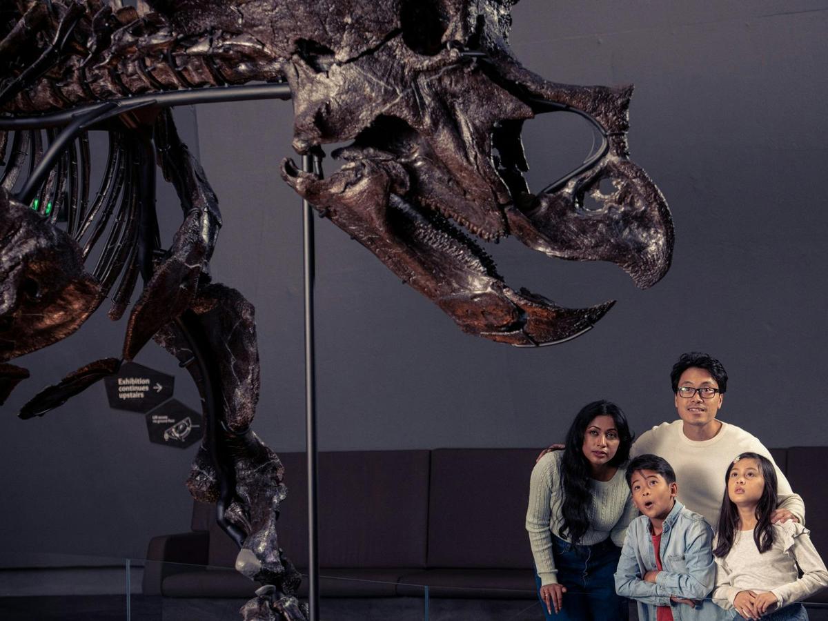 Visitors in the Triceratops exhibition