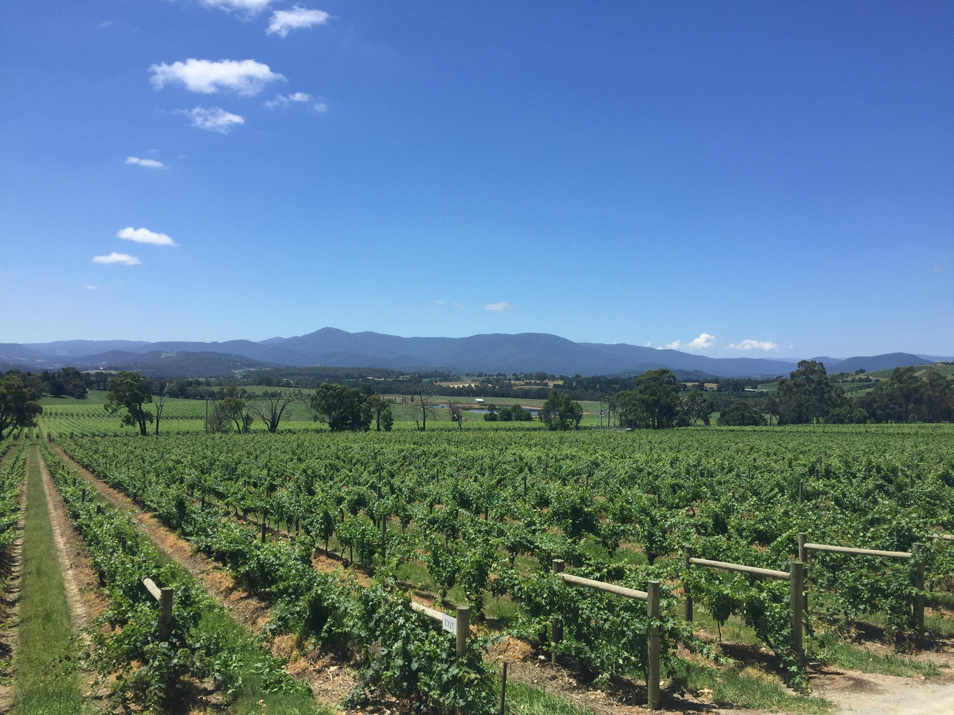 Yarra Valley