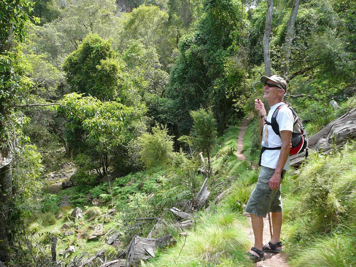 Mitchell River Walking Track, Gippsland, Victoria, Australia