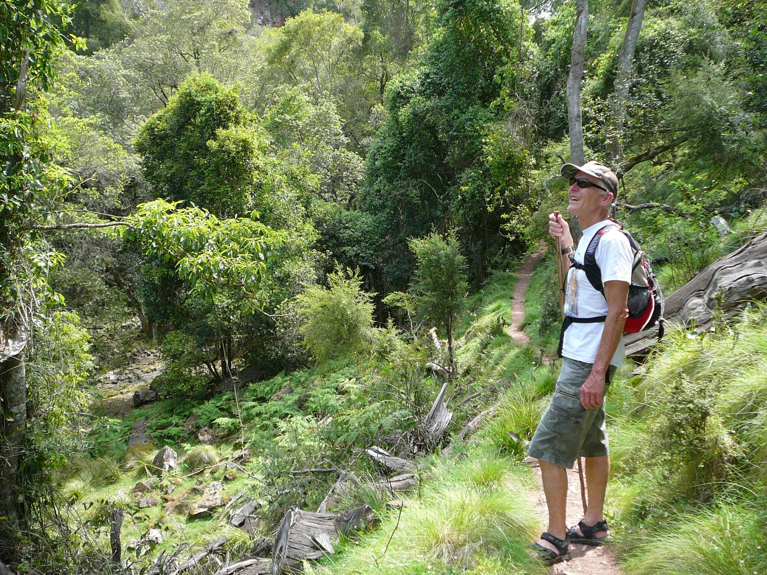 Mitchell River Walking Track, Gippsland, Victoria, Australia