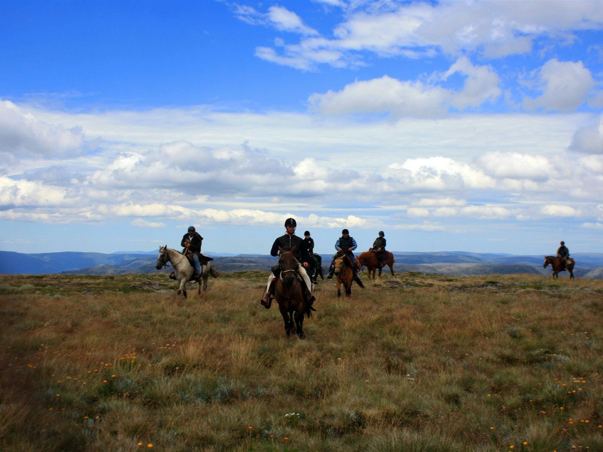 Trail ride in the High Country