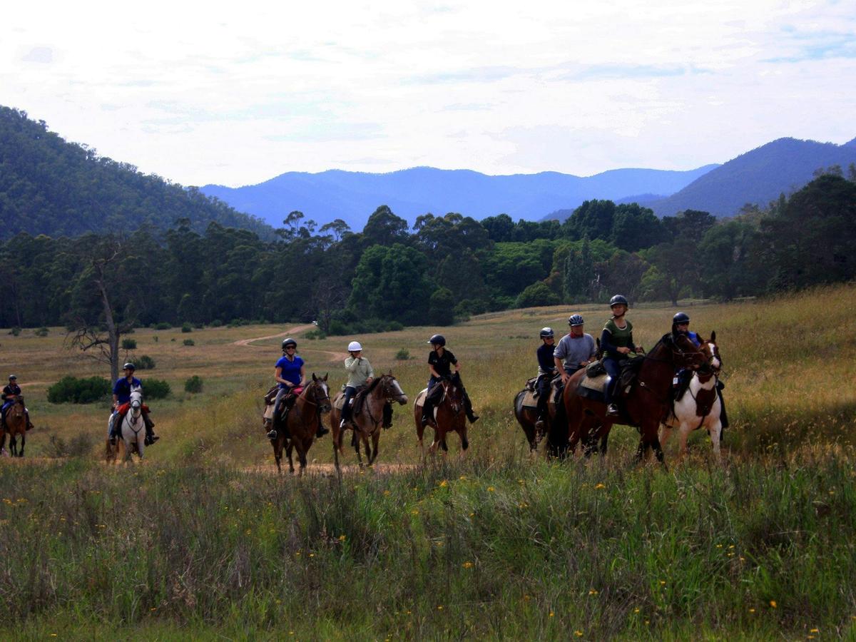 King Valley