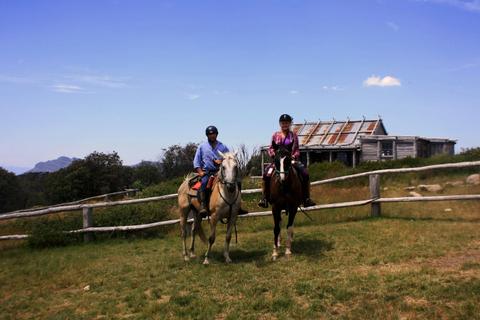 McCormack's Mountain Valley Trail Rides