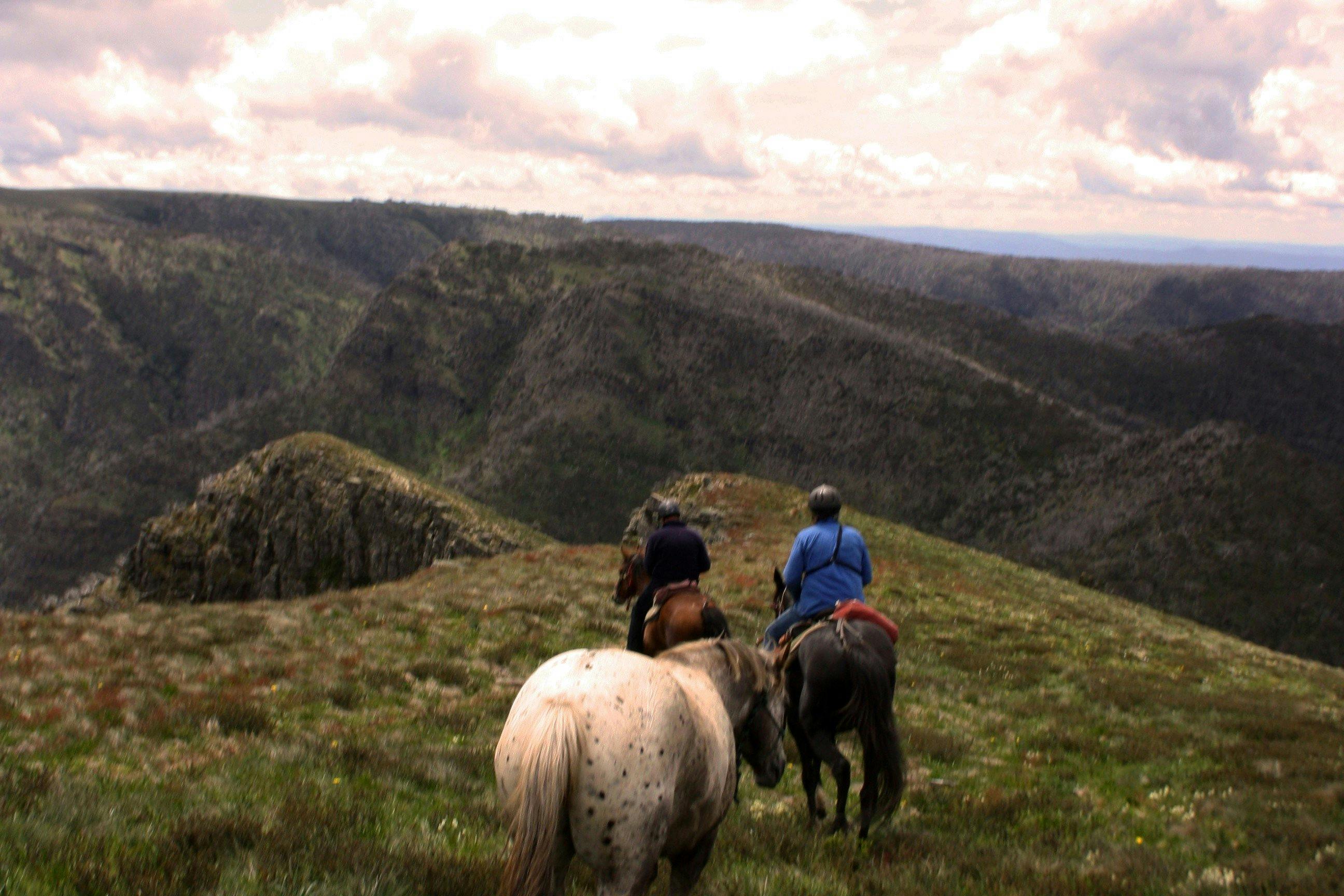 Horse and Valley Views