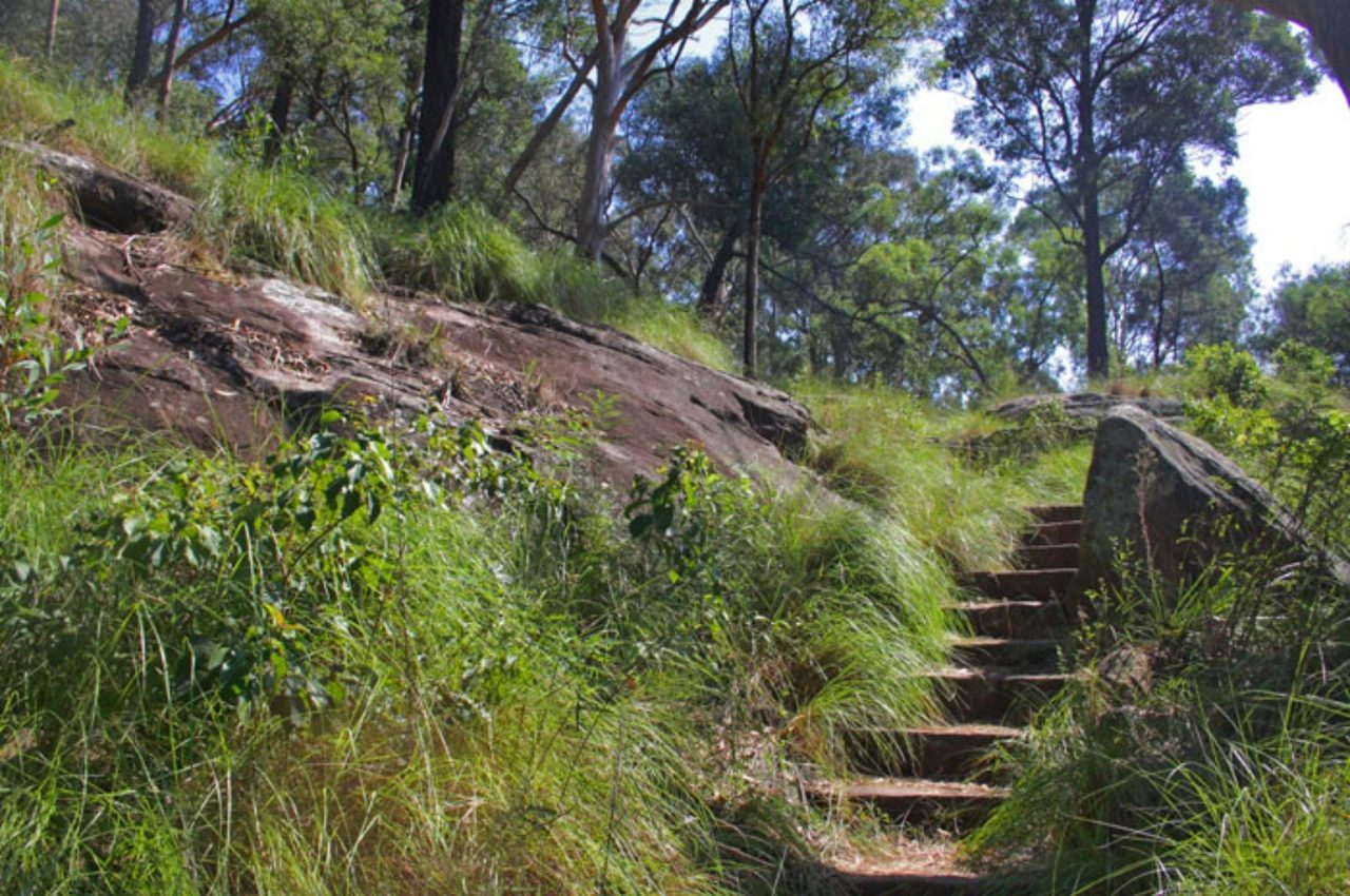 Walk trail