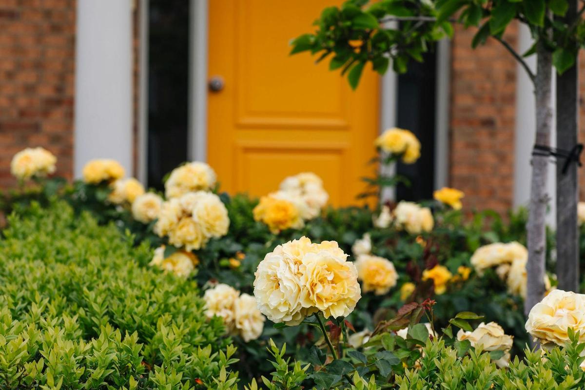 Exterior of Accessible King room