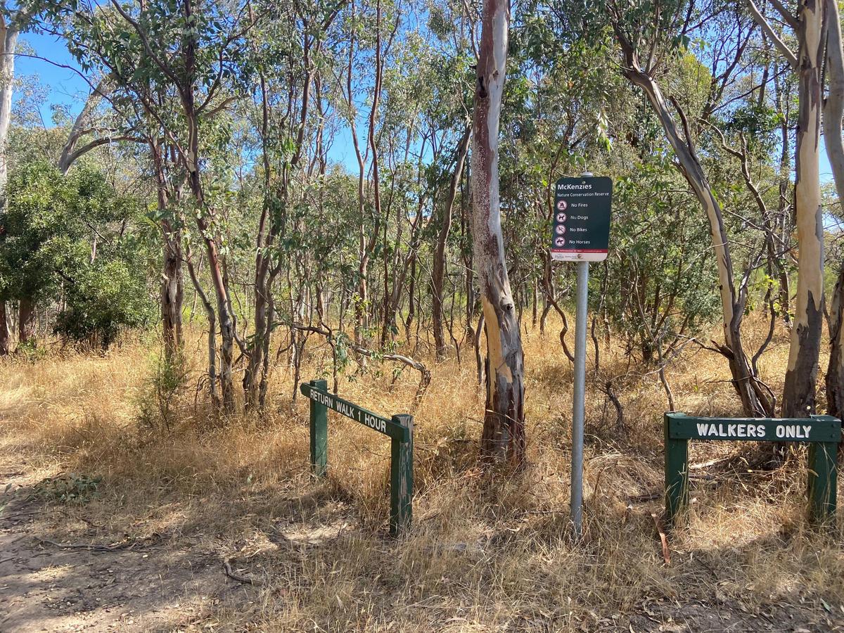 McKenzie Flora Reserve